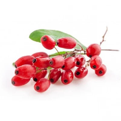 زرشک خوشه ای تازه ۳۰۰ گرم