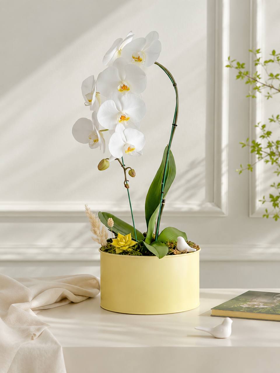 ارکیده سفید در باکس طلایی